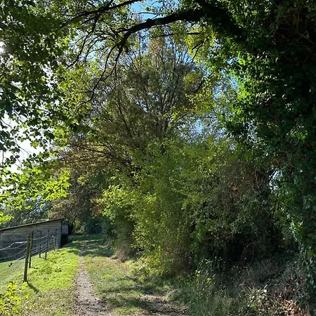 Cosy Dans La Verdure