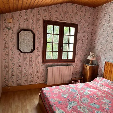 Cosy Dans La Verdure *